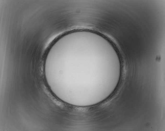 X0000111910878200907271033