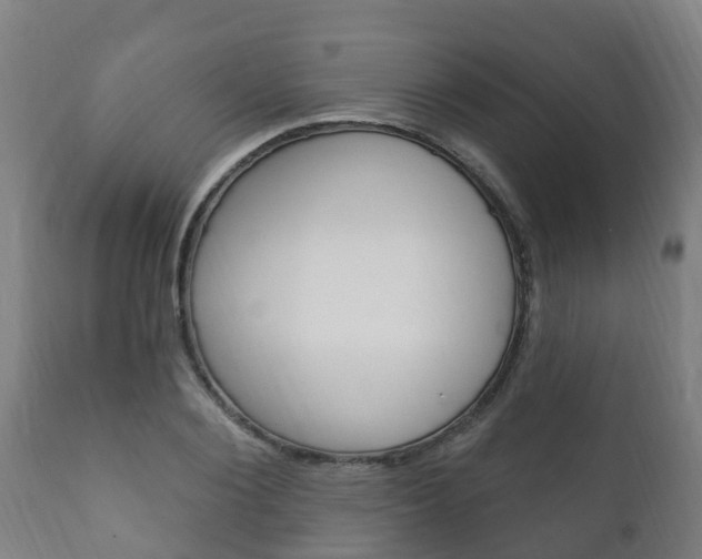 X0000111910884200907271032