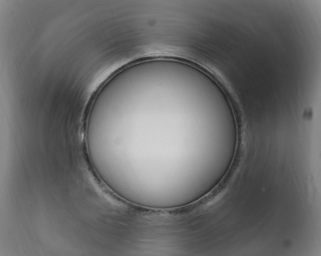 X0000111910885200907271032