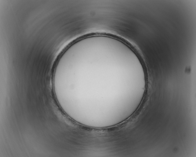 X0000111910887200907271032