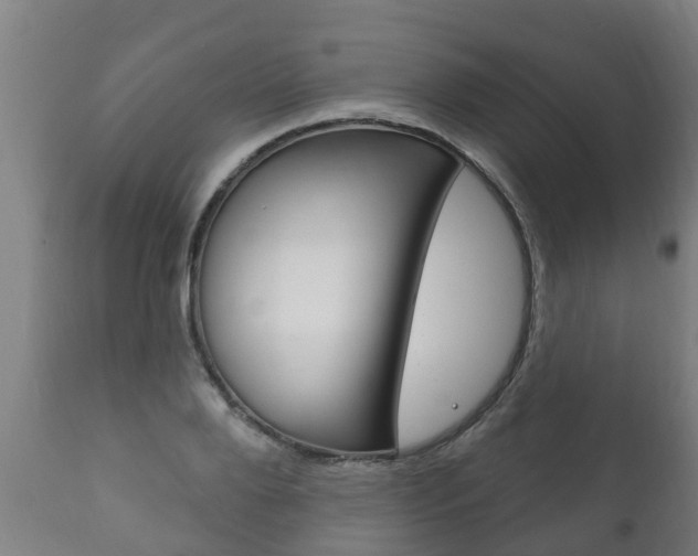 X0000111910888200907271032