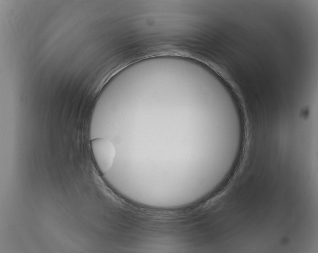 X0000111910889200907271032