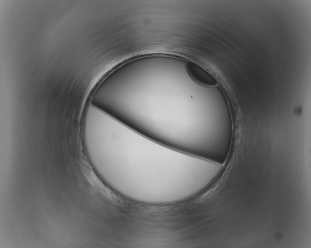 X0000111910892200907271032