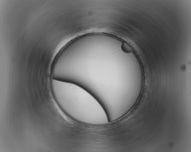X0000111910894200907271032