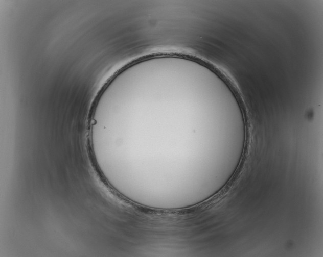 X0000111910895200907271032