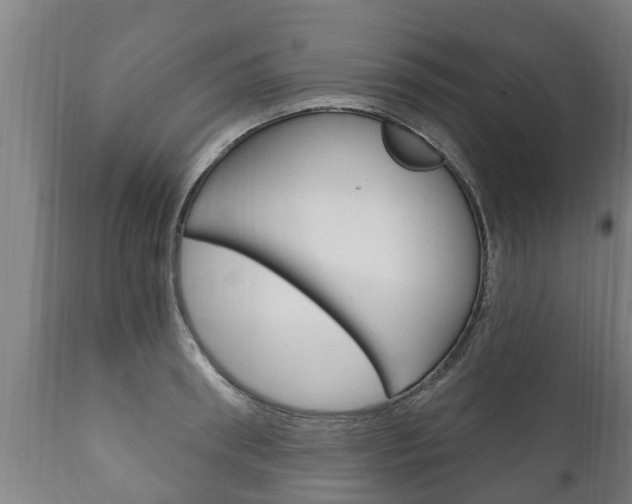 X0000111910898200907271032