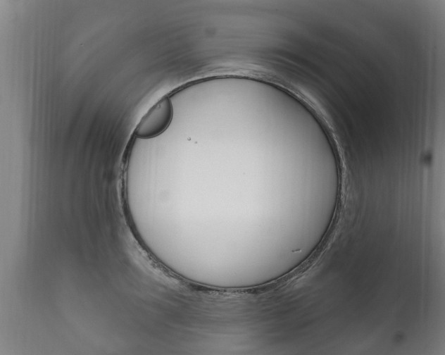 X0000111910899200907271032