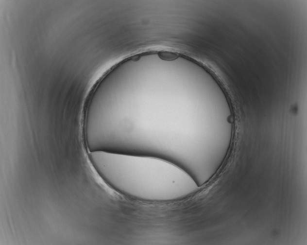 X0000111910902200907271032