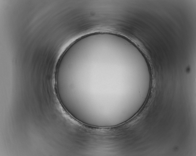 X0000111910904200907271032