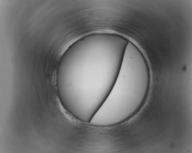 X0000111910905200907271032