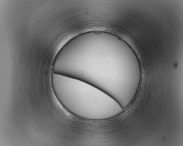X0000111910906200907271032