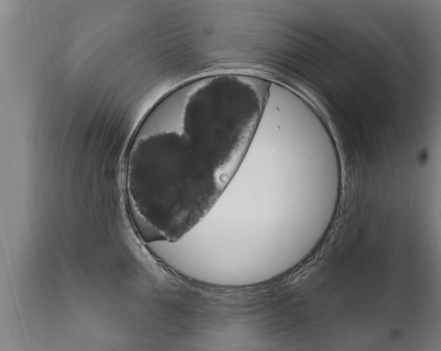 X0000111910907200907271032