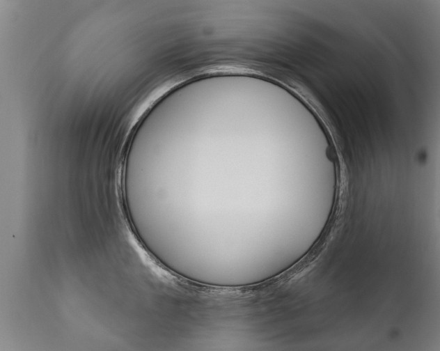 X0000111910909200907271032