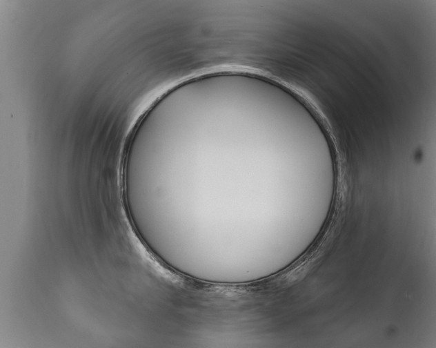 X0000111910910200907271032