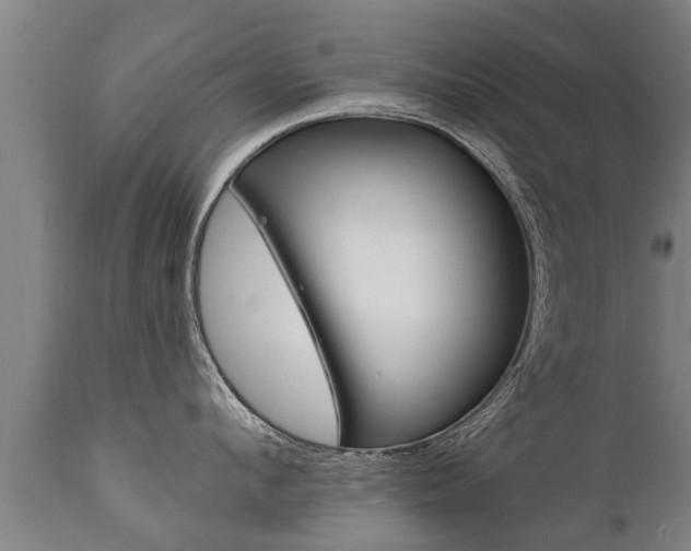 X0000111910912200907271032