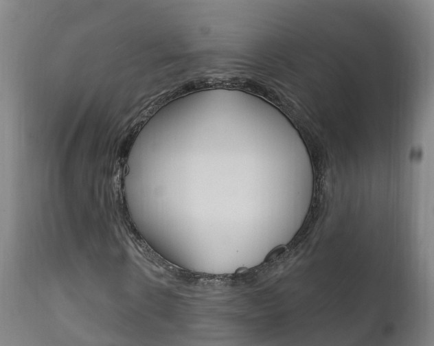 X0000111910914200907271031