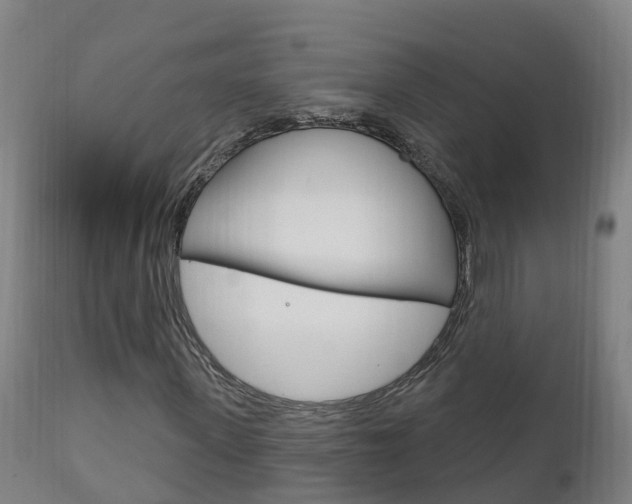 X0000111910915200907271031