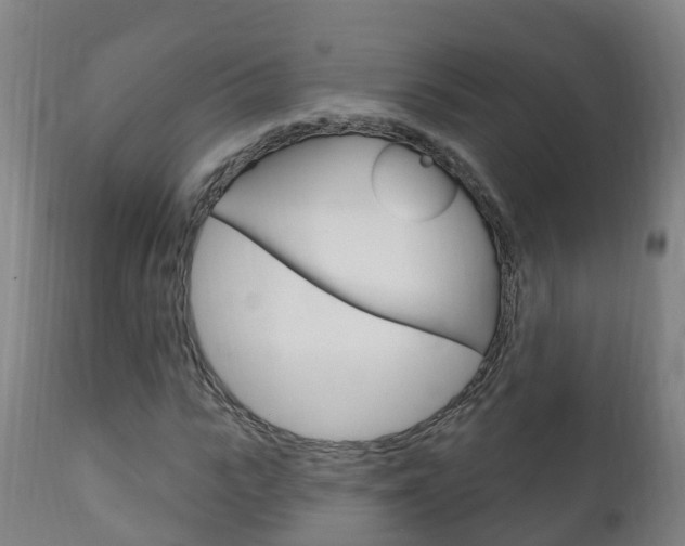 X0000111910919200907271031