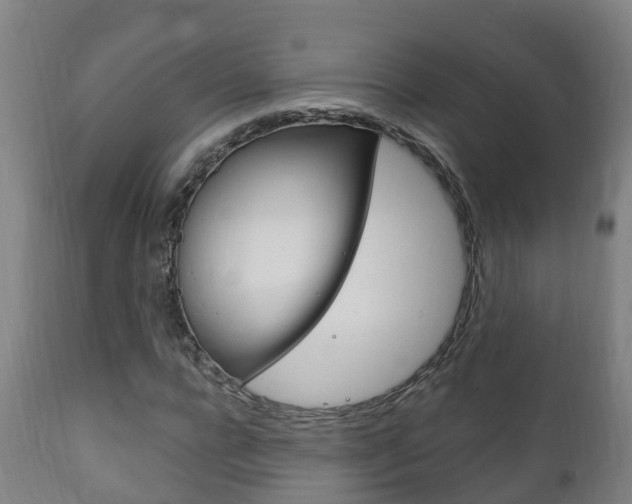 X0000111910920200907271031