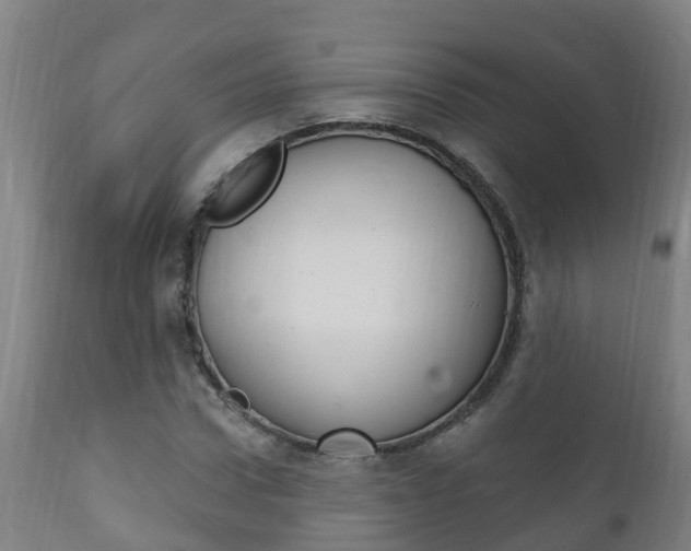 X0000111910922200907271031