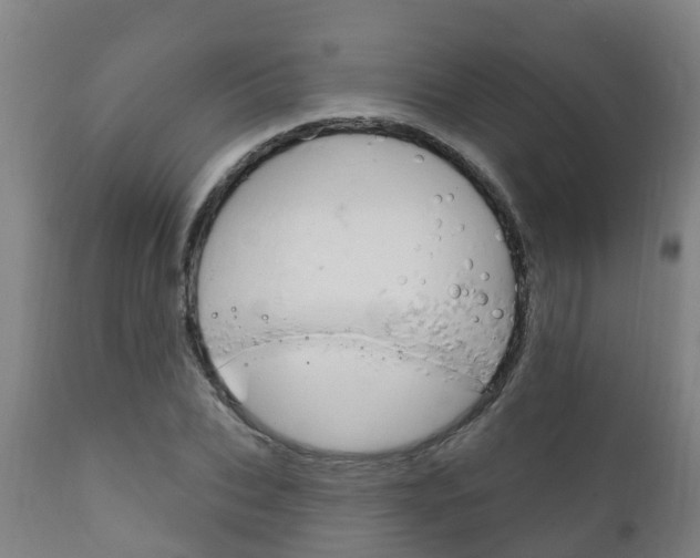 X0000111910927200907271031