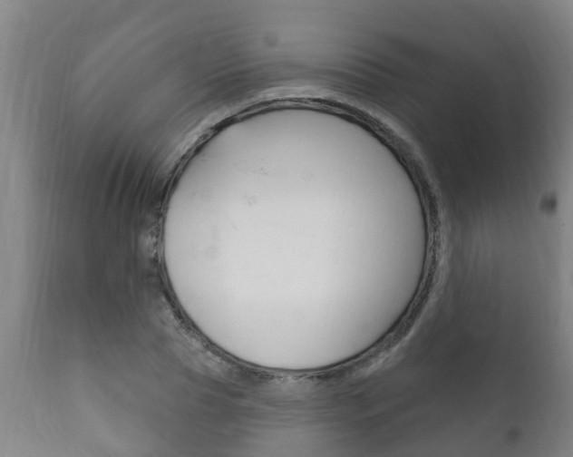 X0000111910929200907271031