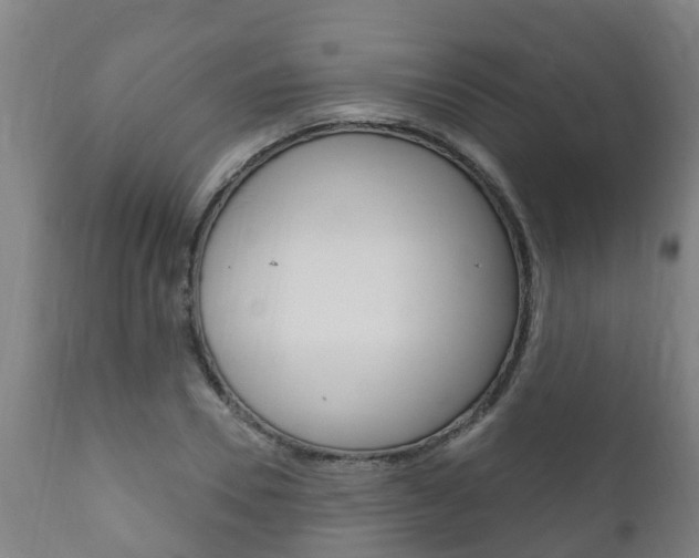 X0000111910930200907271031