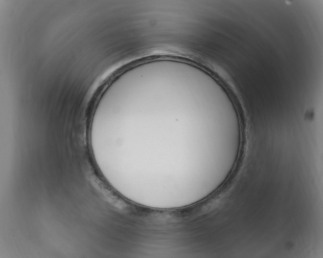 X0000111910931200907271031