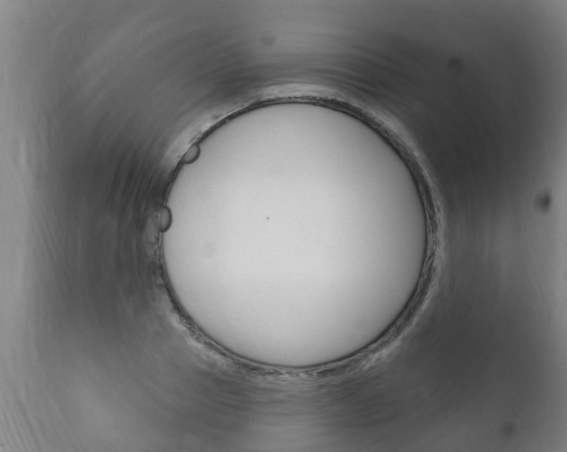 X0000111910937200907271032