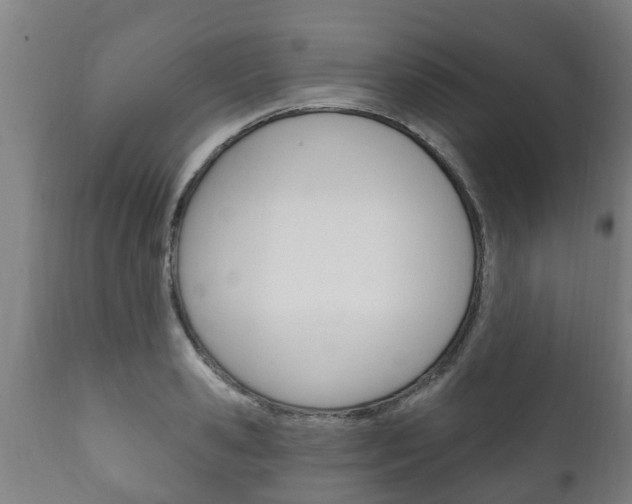 X0000111910941200907271032