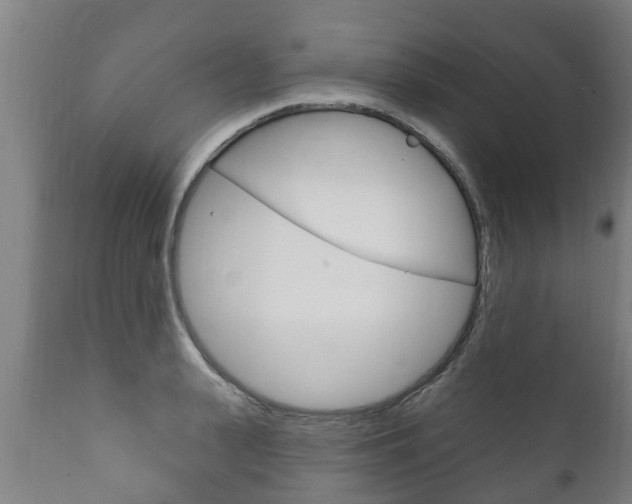 X0000111910943200907271032