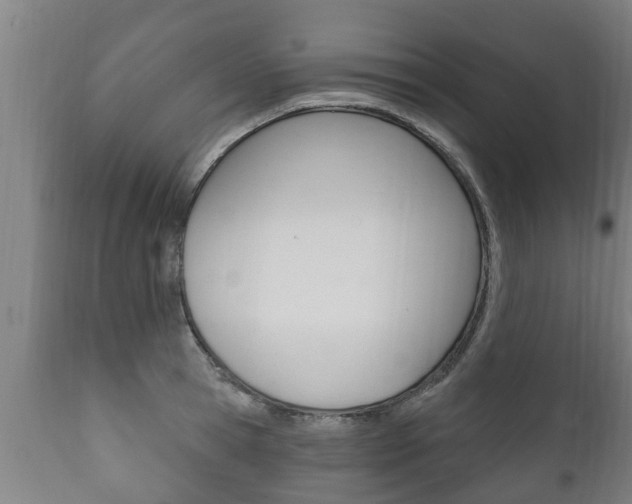 X0000111910945200907271032