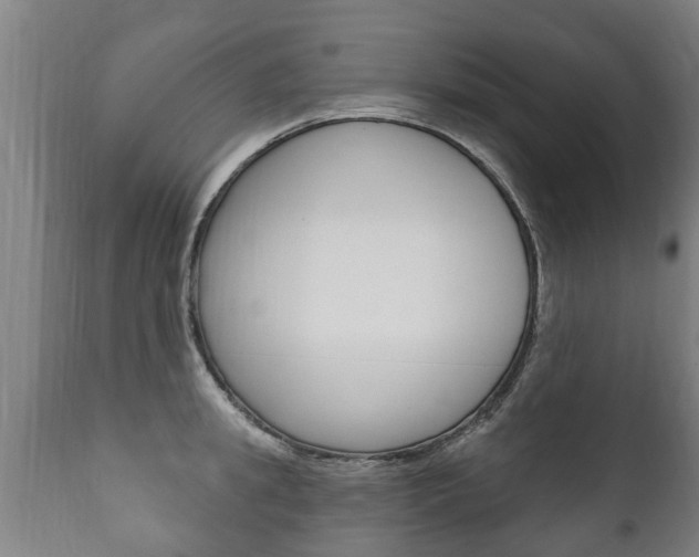 X0000111910949200907271032