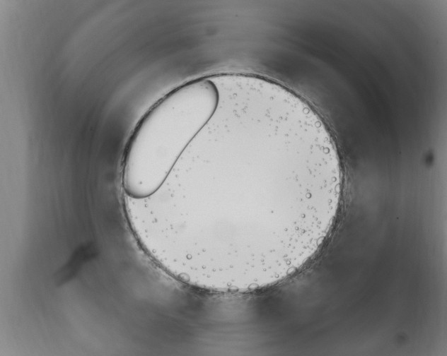 X0000111910950200907271032