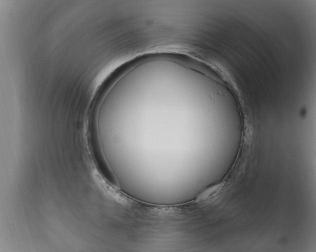 X0000111910952200907271032
