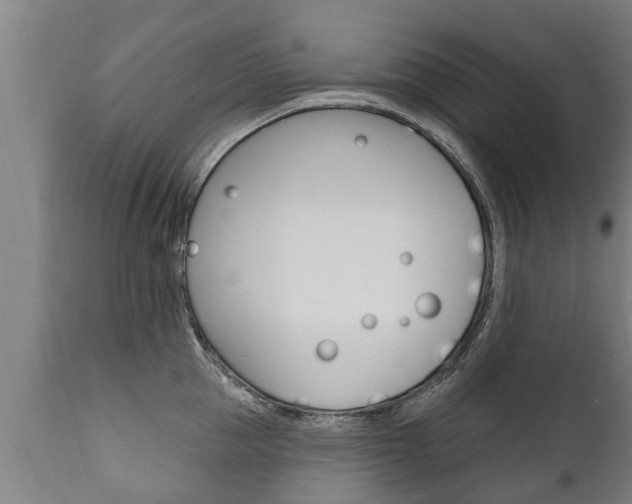 X0000111910953200907271032