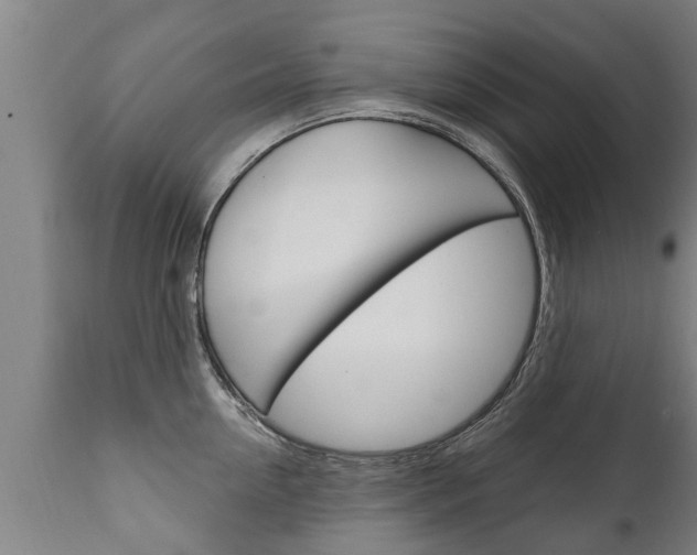 X0000111910954200907271032