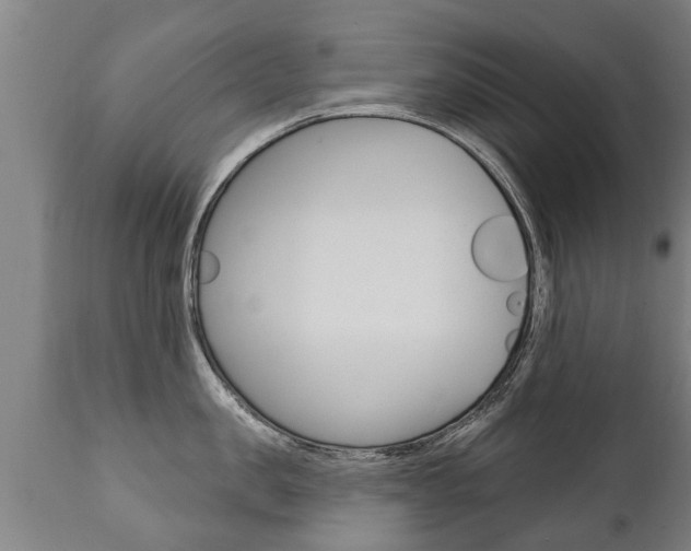 X0000111910957200907271032