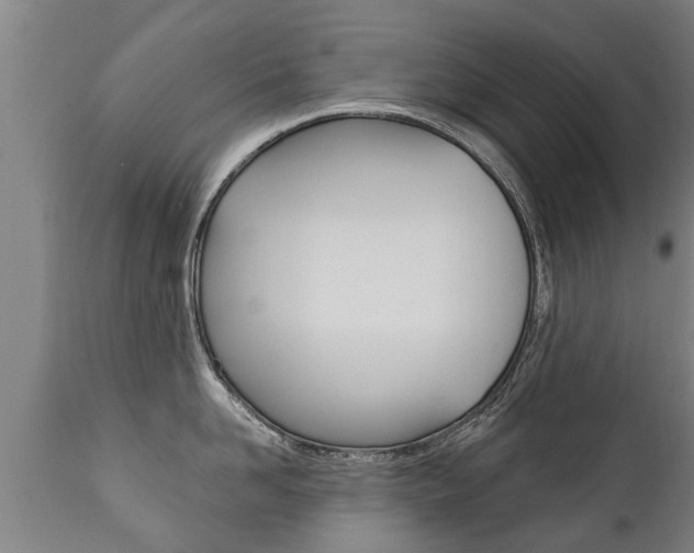 X0000111910958200907271032