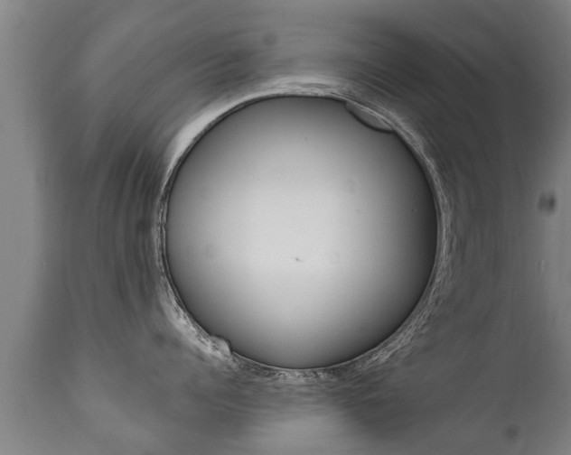 X0000111910960200907271032