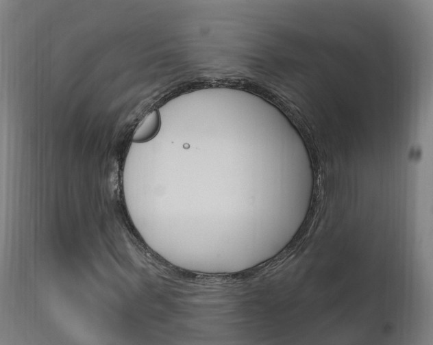 X0000111910963200907271031