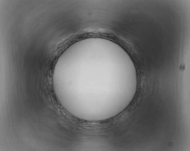 X0000111910966200907271031