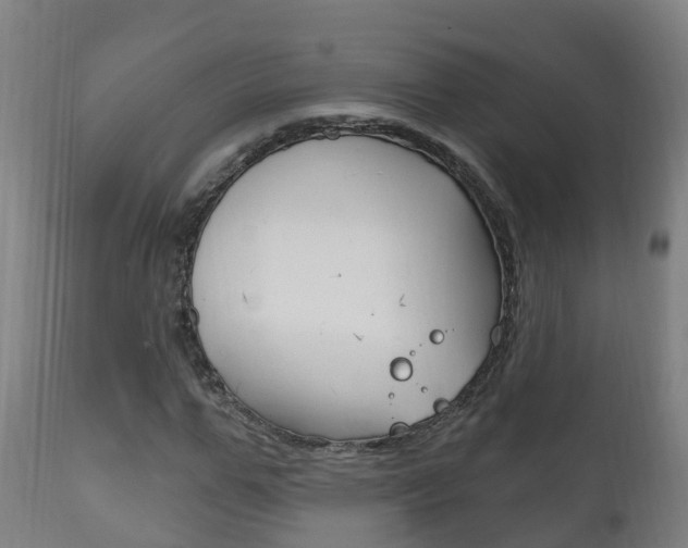 X0000111910967200907271031