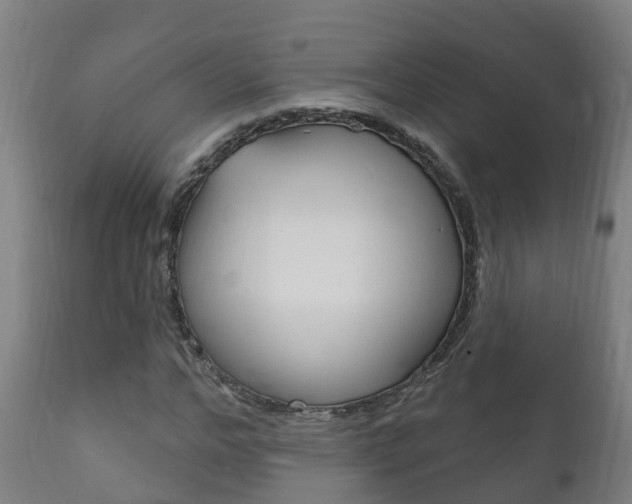 X0000111910968200907271031