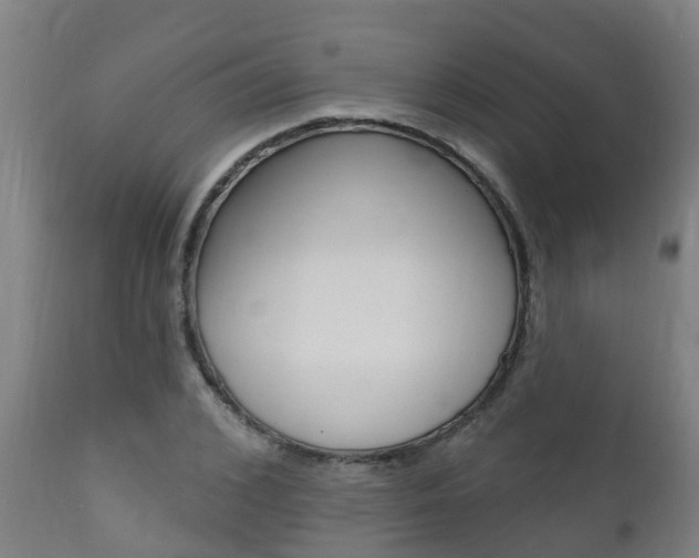 X0000111910976200907271031