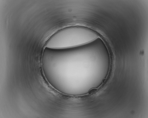 X0000111910977200907271031