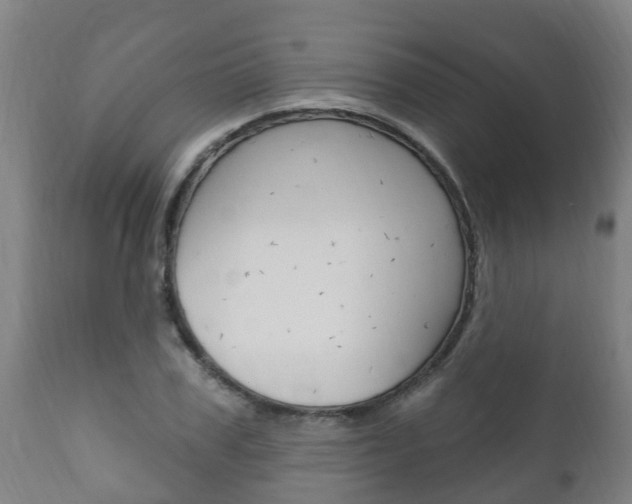X0000111910979200907271031