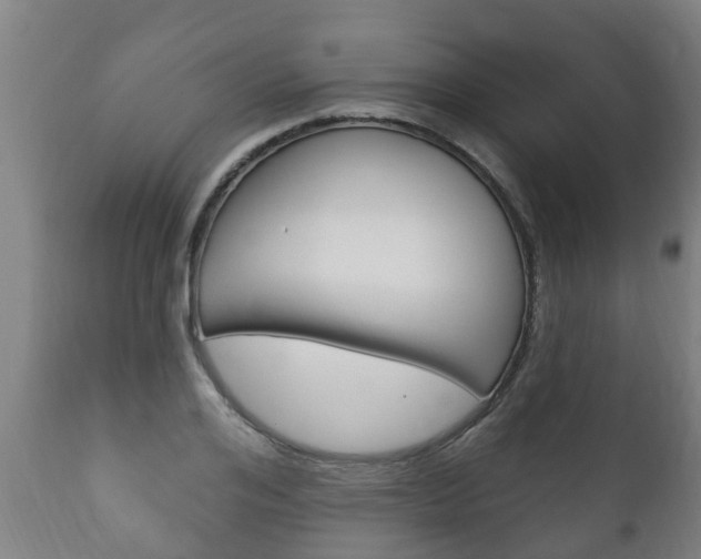 X0000111910984200907271031