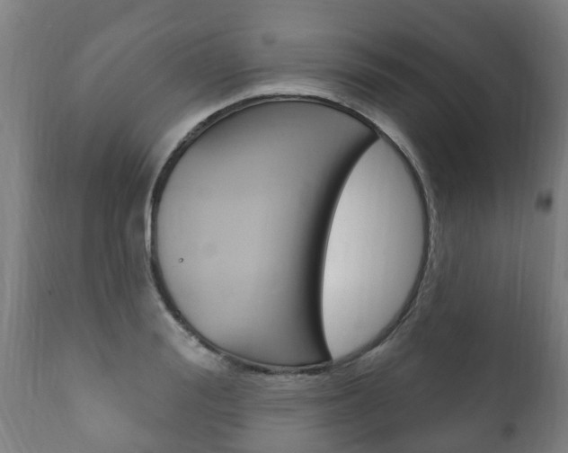 X0000111910988200907271031