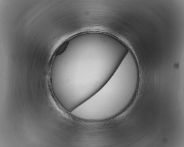 X0000111910989200907271031